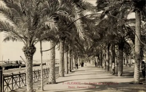 Ak Alicante Valencia Spanien,  Explanada (Promenade), Bazar Pascual