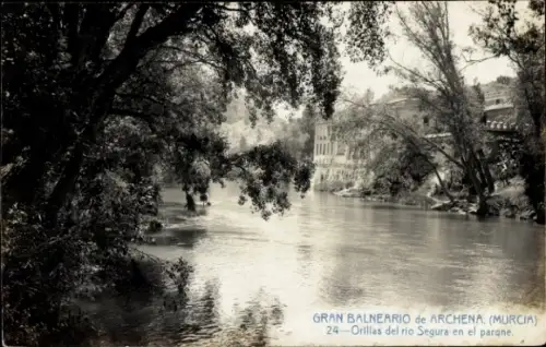 Ak Gran Balnerio de Archena Murcia, Orllias del rio Segura en el parqne