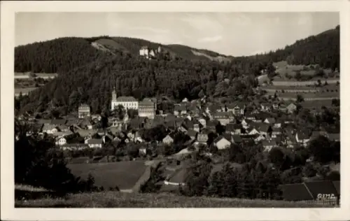 Ak Leutenberg in Thüringen, Leutenberg (Thür.), Ortsansicht Panorama, Hügel mit Schloss, GIME
