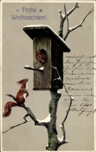 Präge Ak Frohe Weihnachten, Eichhörnchen im Vogelhaus