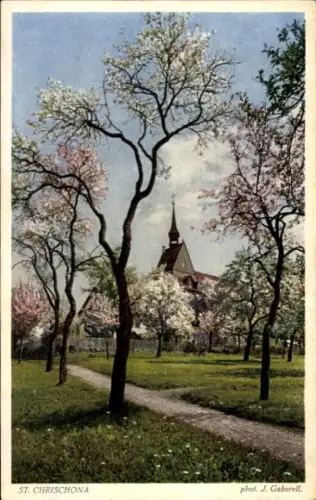 Ak Bettingen Kanton Basel Stadt, Sankt Chrischona, Blick zur Kirche, Baumblüte