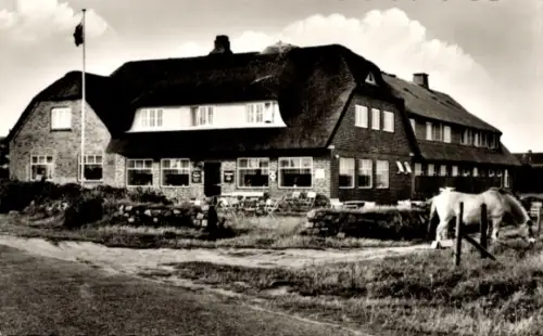 Ak Rantum auf Sylt, Gasthaus und Pension Boysen, Rantum/Sylt, Telefon 250