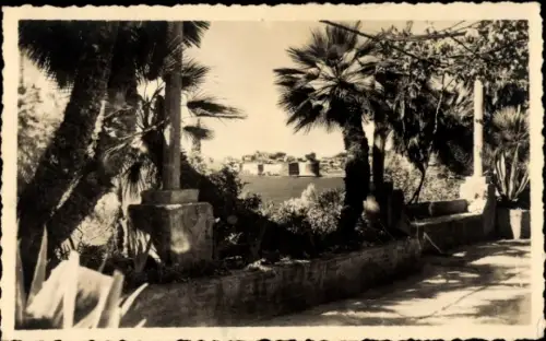 Ak Dubrovnik Kroatien,  Altstadt, Stadtmauer, Insel im Hafen, Palmen, Promenade