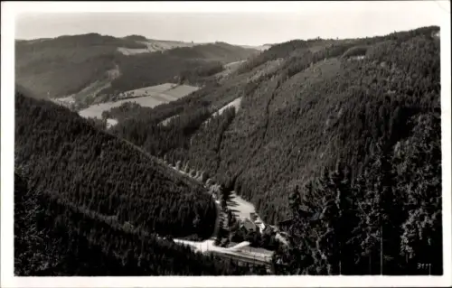 Ak Wurzbach in Thüringen, Tal der kleinen Sormitz