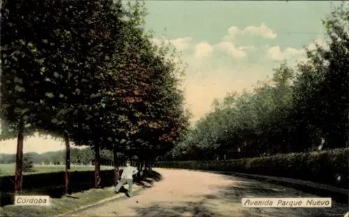 Ak Córdoba Argentinien,  Avenida Parque Nuevo