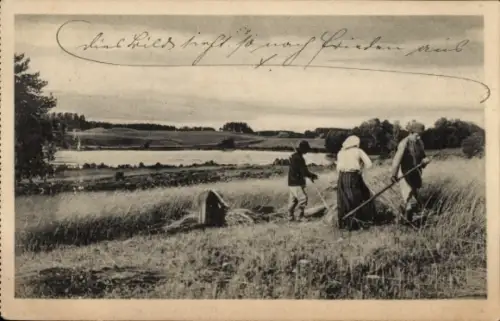 Ak Kurland Lettland, Ernte, Bauern, Sense