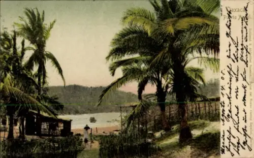 Ak Oaxaca Mexiko, Puerto Ance, Palmen, Strandweg