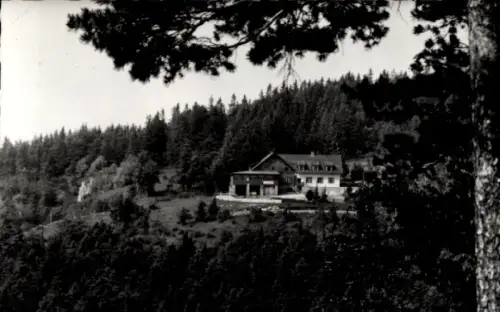Ak Hohe Wand Niederösterreich, Gebäude auf bewaldeter Hanglichtung, umrahmt von Ästen, Nadelwald 