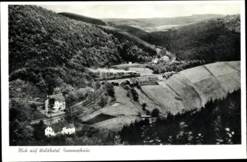 Ak Schalksmühle im Sauerland, Blick auf Waldhotel Hammerhaus, Bahnstrecke. Dampfzug