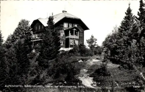Ak Mürzzuschlag Steiermark, Alpenhotel Bärenkogel