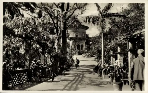 Ak Lisboa Lissabon Portugal, Montserrat