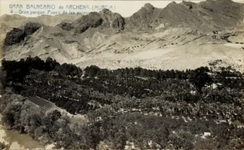 Ak Archena Murcia, Gran Balneario de  Gran parque, Paseo de las palmeras