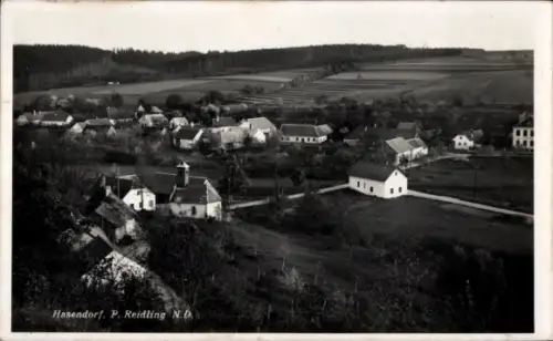 Ak Hasendorf Niederösterreich, Gesamtansicht
