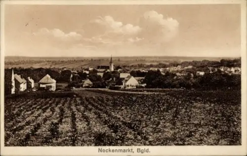 Ak Neckenmarkt Burgenland, Gesamtansicht