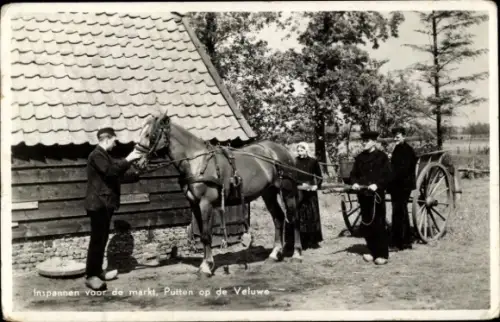 Ak Niederlande, Fuhrwerk, Niederländische Tracht