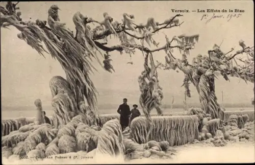 Ak Versoix Kanton Genf, Les Effets de la Bise