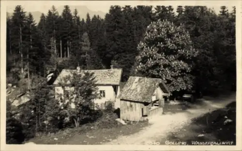 Ak Golling an der Salzach in Salzburg, Häuser, Holzschuppen, großer blühender Baum, Wald, unbefes