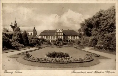 Ak Oliva Gdańsk Danzig, Kloster, Rosenbeete