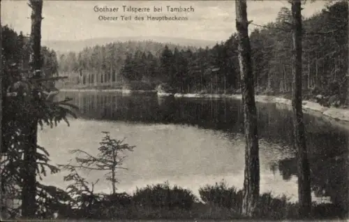 Ak Tambach Dietharz im Thüringer Wald, Gothaer Talsperre, Hauptbecken