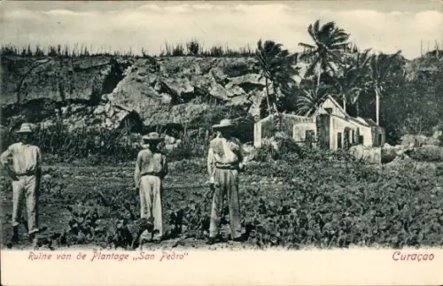 Ak Curaçao, Ruine van de Plantage San Pedro