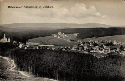 Ak Hahnenklee Bockswiese Goslar im Harz, Panorama