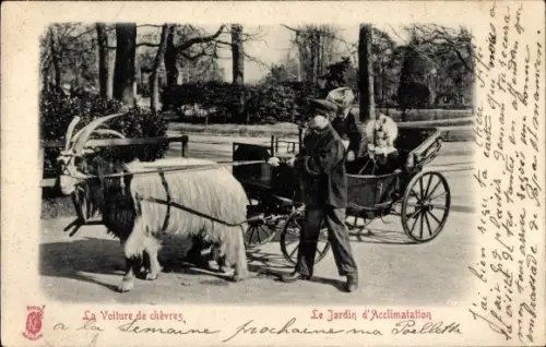 Ak Paris XVI, Jardin d'Acclimatation, Ziegenkutsche, Kinder