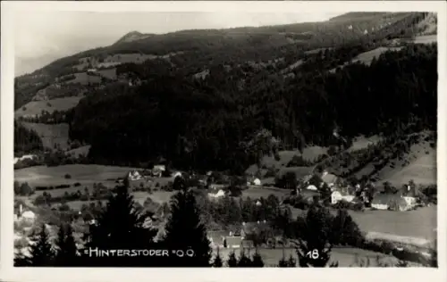 Ak Hinterstoder in Oberösterreich, Tal mit Häusern, Wiesen, dichten Wäldern, Tannen im Vordergrun