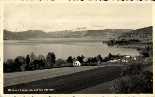 Ak Seewalchen am Attersee in Oberösterreich, See mit Bergpanorama, Ufer mit Häusern, Felder im Vo