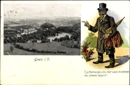 Ak Greiz im Vogtland Thüringen, Gesamtansicht