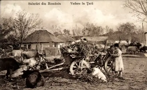 Ak Rumänien, Dorfbewohner mit Fuhrwerk