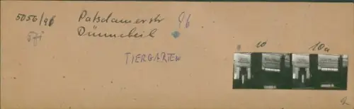 Kontaktabzug Fotos Berlin Tiergarten, Musikalienhandlung Hans Dünnebeil, Potsdamer Str. 96