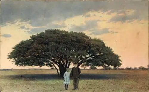 Ak Marapyane Südafrika, Baum, Neuhalle