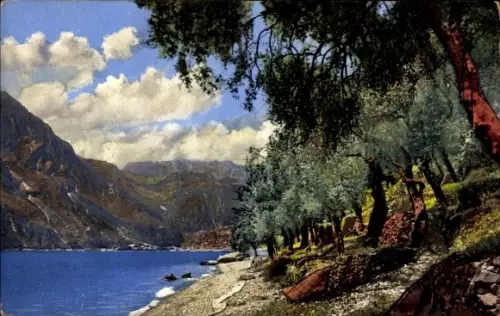 Ak Nago Torbole Trentino, Photochromie, Nenke und Ostermaier 70 1837, Gardasee, Olivenbäume