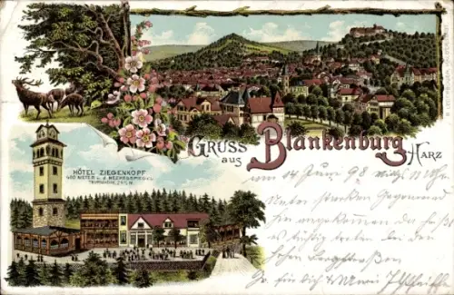 Litho Blankenburg am Harz, Gesamtansicht, Hotel Ziegenkopf