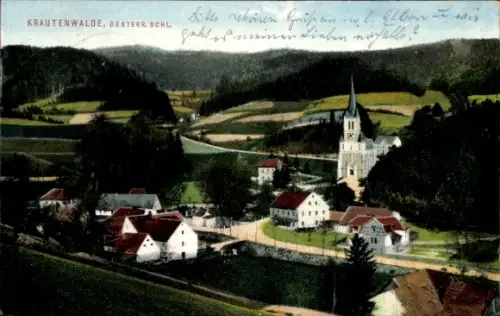 Ak Travná Krautenwalde Javorník Jauernig Reg Olmütz, Gesamtansicht