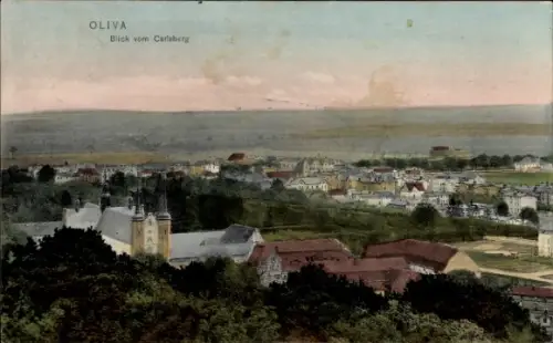 Ak Oliva Gdańsk Danzig, Blick vom Carlsberg