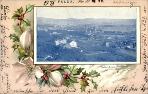 Passepartout Ak Fulda in Hessen, Gesamtansicht, Stechpalme