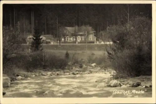 Ak Harrachov Harrachsdorf Riesengebirge Region Reichenberg, Gasthof Maute