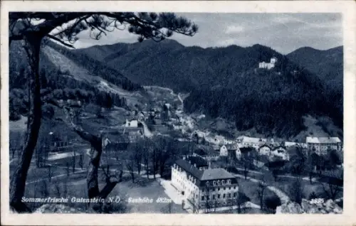 Ak Gutenstein in Niederösterreich, Gesamtansicht