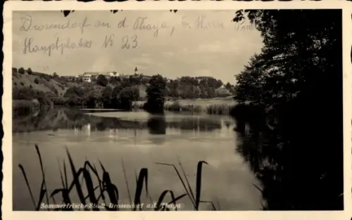 Ak Drosendorf an der Thaya Niederösterreich, See mit Schilf im Vordergrund, Uferbäume rechts, Dor