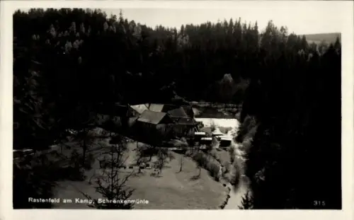 Ak Rastenfeld Niederösterreich, Wassermühle am Fluss, dichter Nadelwald im Hintergrund, Wiese mit