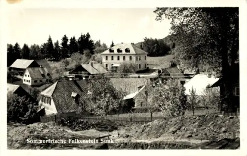 Ak Falkenstein in der Steiermark, Teilansicht