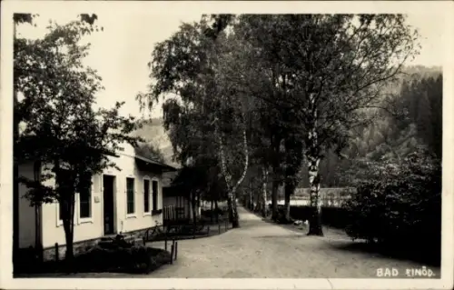 Ak Bad Einöd in der Steiermark, Baumgesäumter Weg, Gebäude links mit Fenstern und Tür, Sitzbänke,
