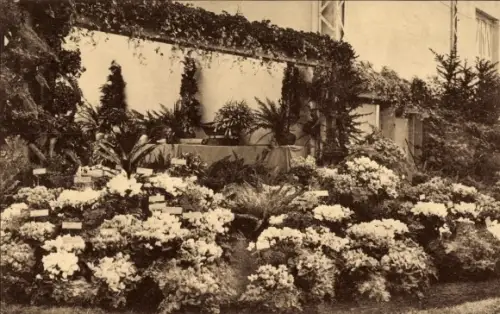 CPA Gand Flandre orientale, Floralies 1938