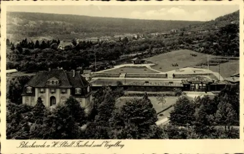Ak Bleicherode Harz, Städt. Freibad und Vogelberg, Feld