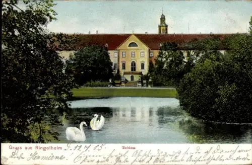 Ak Ringelheim Salzgitter in Niedersachsen,  Schloss  Teich mit Schwänen
