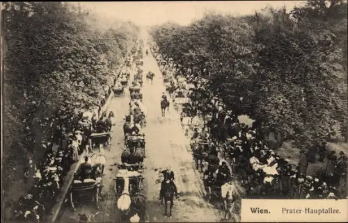 Ak Wien 2 Leopoldstadt, Prater, Hauptallee