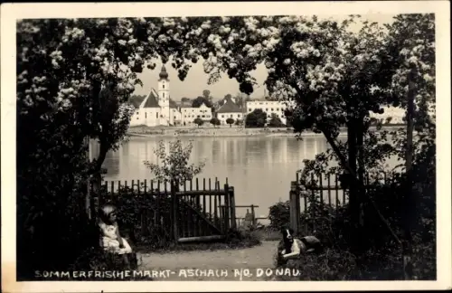 Foto Ak Aschach an der Donau Oberösterreich, Blick zum Ort