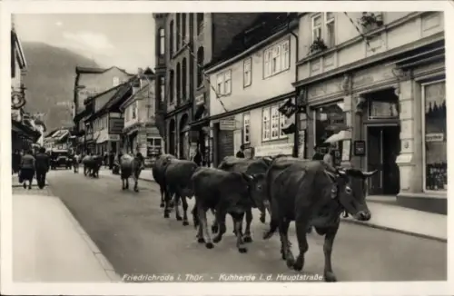 Ak Friedrichroda im Thüringer Wald, Kuhherde i.d. Hauptstraße, Rinderherde