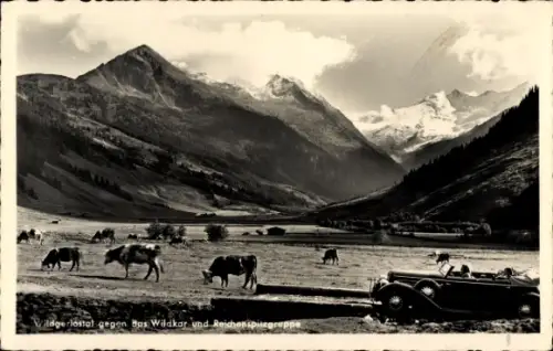 Ak Wildgerlostal Zillertaler Alpen in Salzburg, Wildkar, Reichenspitzgruppe, Kuhweide, Automobil